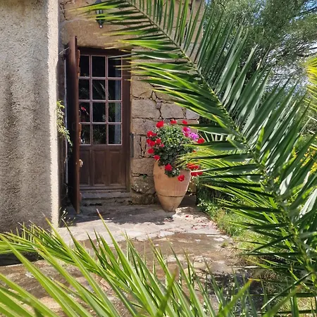 U Cipressu Olmeto (Corsica)